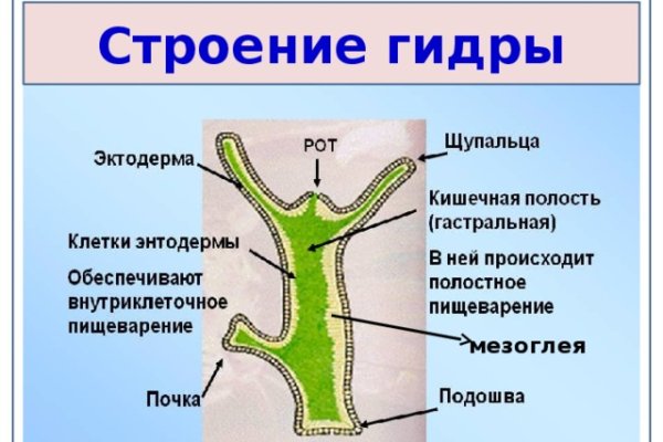 Кракен купить мефедрон